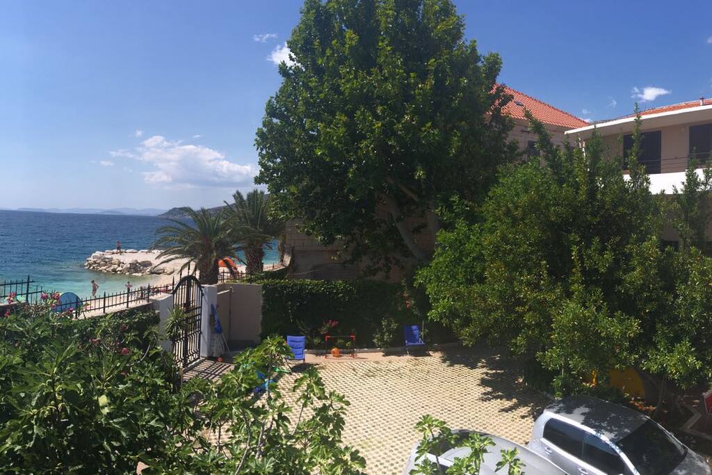 garden view
