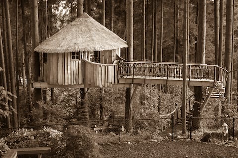 Africa in Auburn - Treehouse