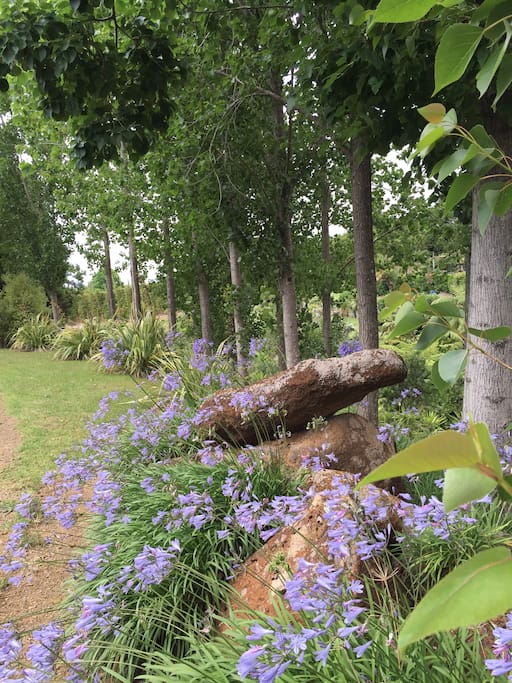 Lovely walks in the garden.