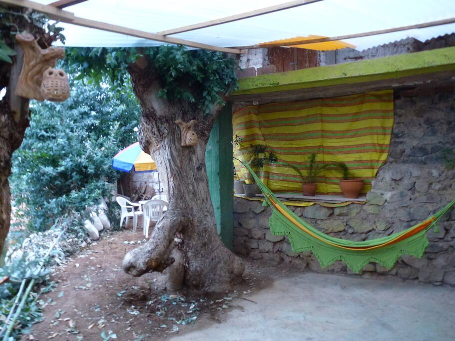 Es el fondo de la parte exterior de la casa