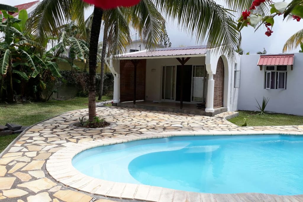 Swimming pool and yard