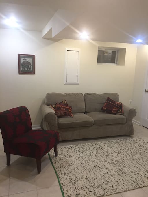 Pull out full sized couch