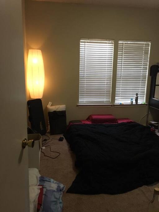 The room (lamp and bed only)