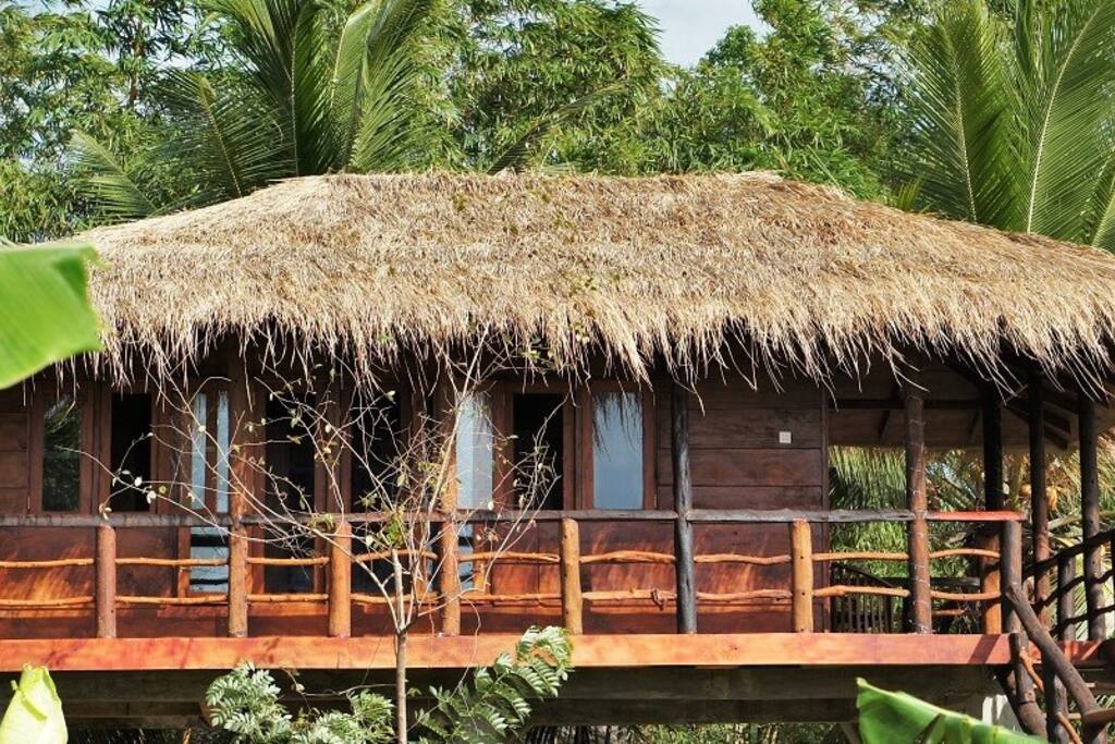 Canopy Tree House
View from the Side