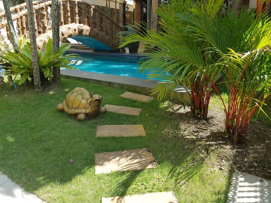 Swimming pool, Patio