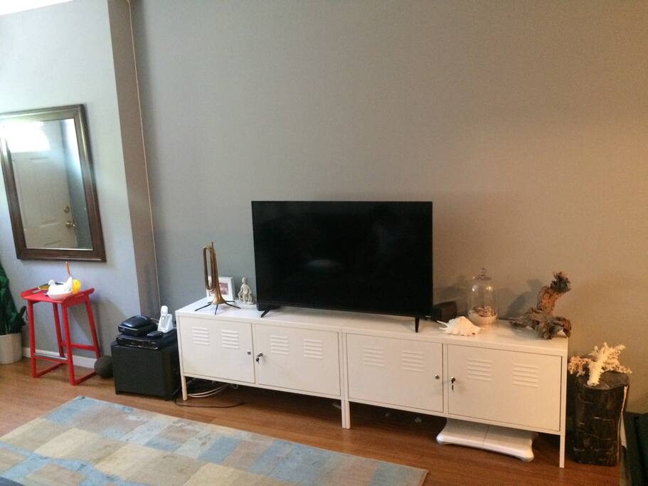 55" TV with Cable and Wifi.