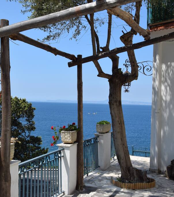 The view from the terrace