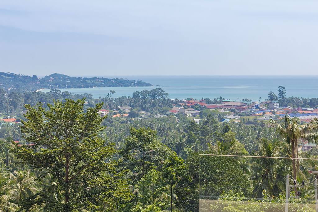 Panoramic view on the Lamai bay and the the splendid coconut grove