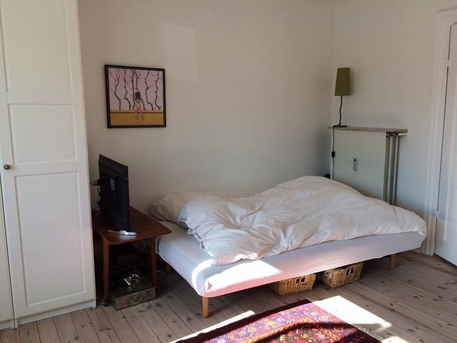 The bed in the living room. Can also be used as a sofa