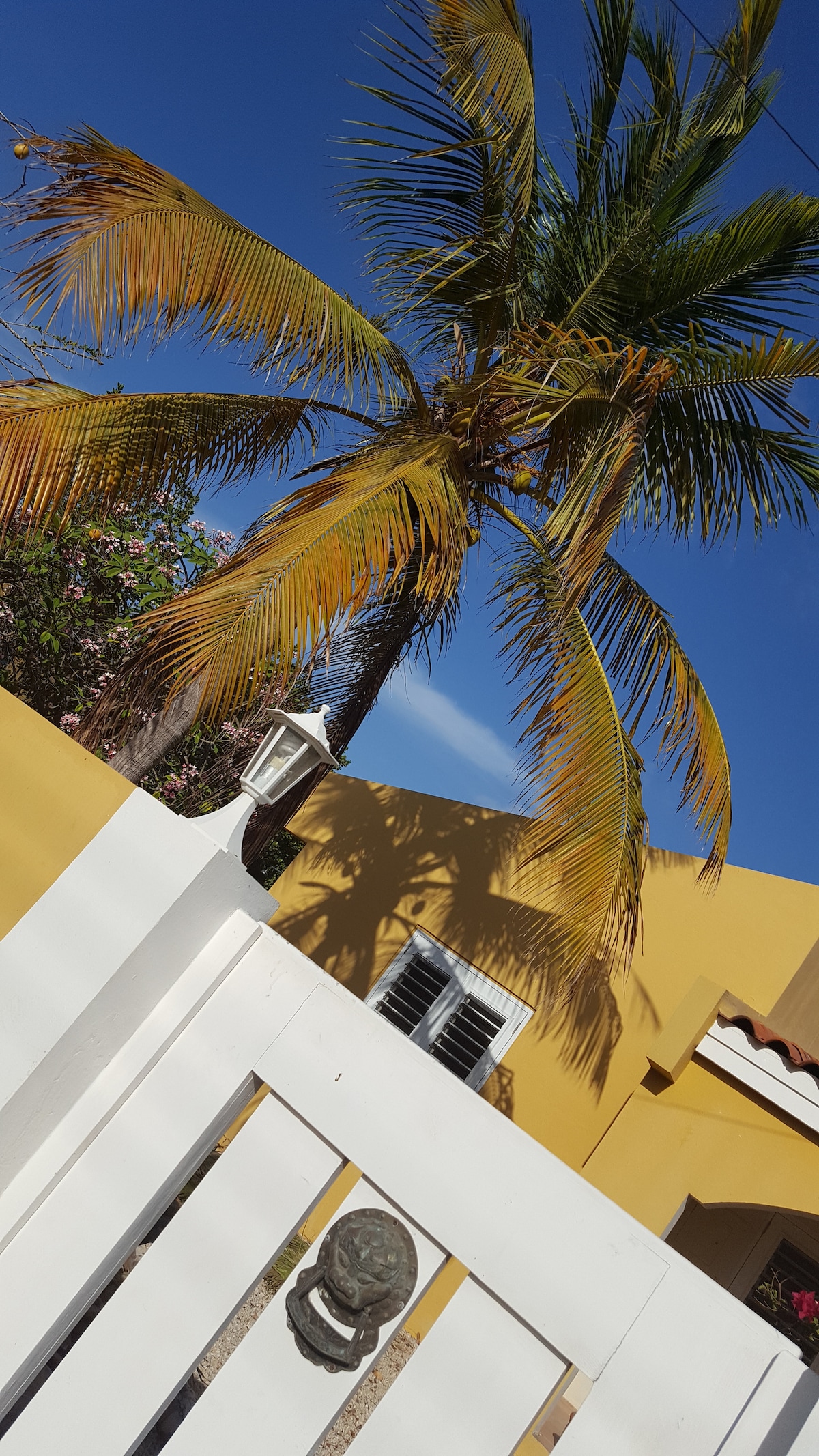 bonaire oceanfront apartments on Kralendijk Vacation Rentals Homes Bonaire Caribbean Netherlands Airbnb