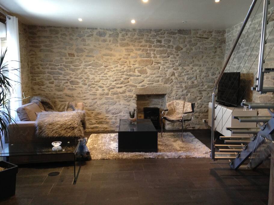 SALON AVEC SI BESOIN ESPACE COUCHAGE CANAPE 2 PLACES
