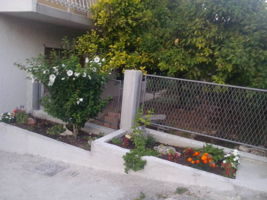 entrace