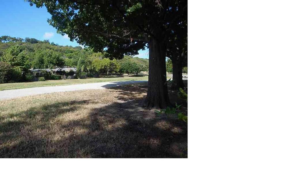 This is a pic of the Trinity Walking Trail taken from my backyard!