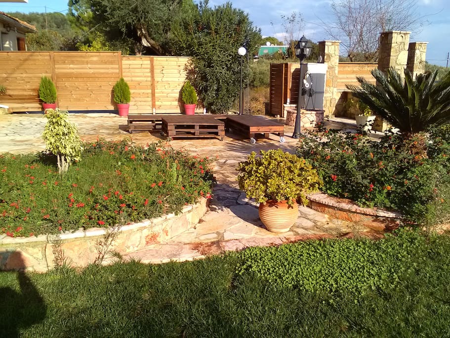 Front yard