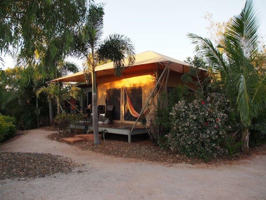 Eco tent in evening