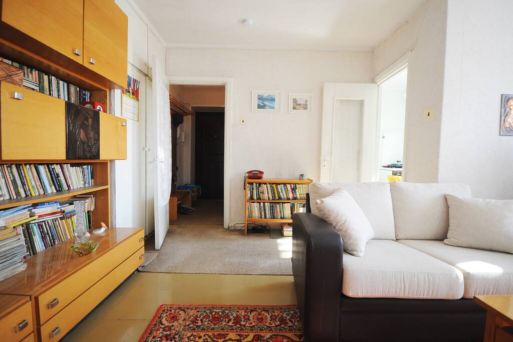Living room with a small library