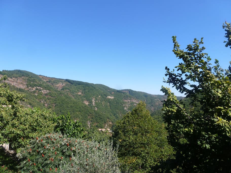 vue de la terrasse