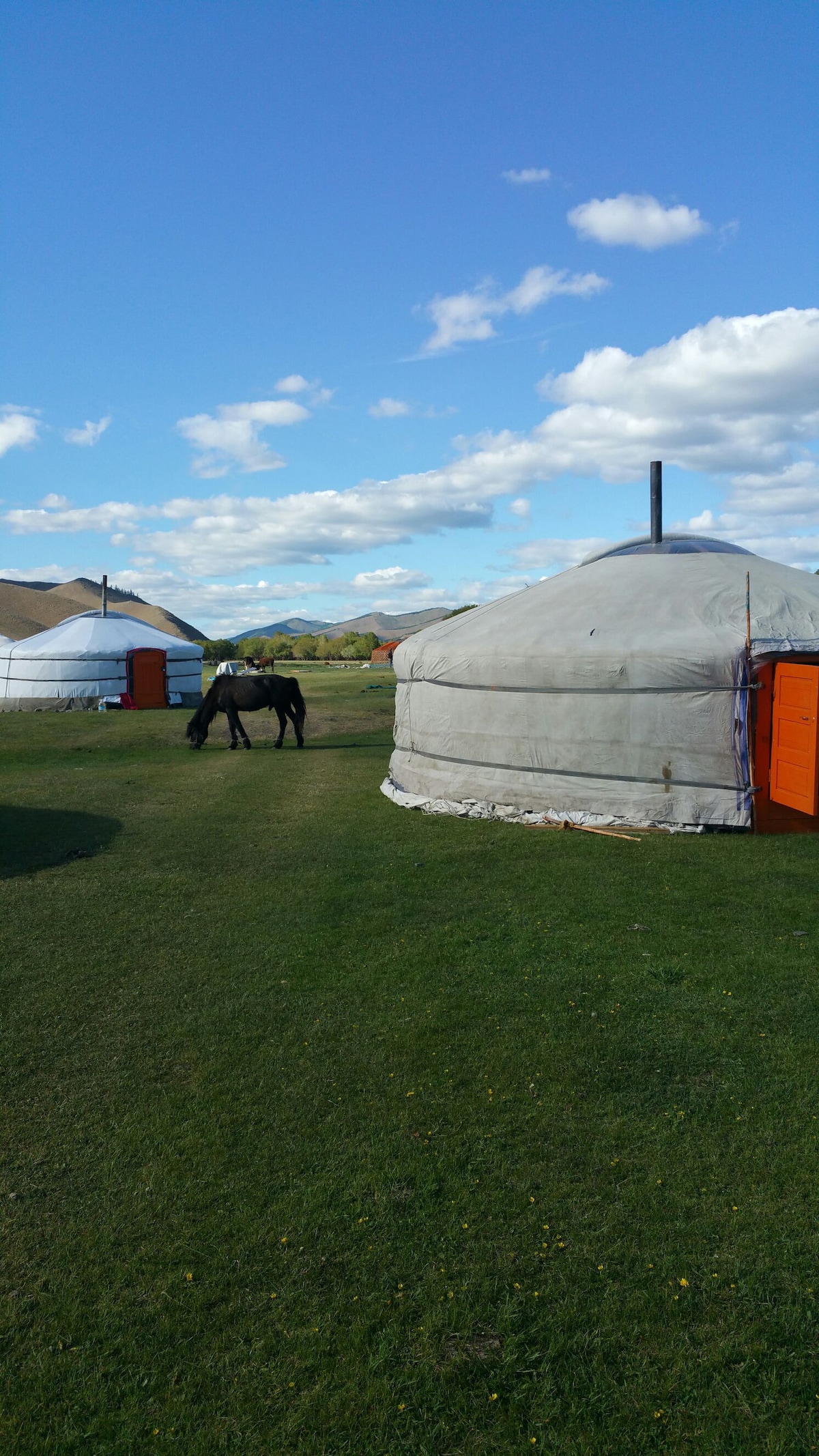 Two traditional Mongolian gers are positioned on a lush green landscape, with a horse grazing nearby. The sky is expansive and decorated with fluffy white clouds, creating a serene outdoor setting. Each ger features a distinct orange door, adding a touch of color to the scene.