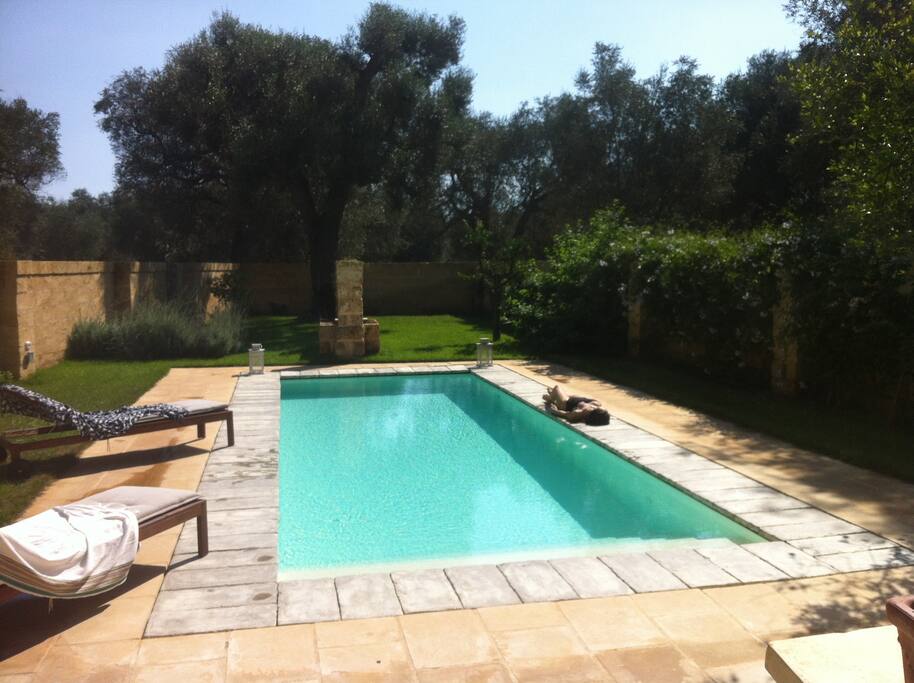 La piscina e il giardino chiuso