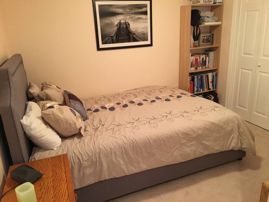 Guest Bedroom in Basement