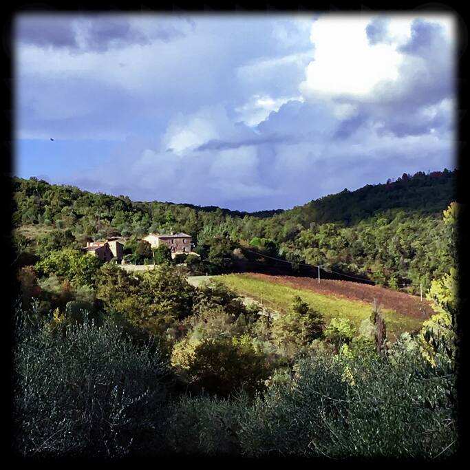 la campagna in autunno