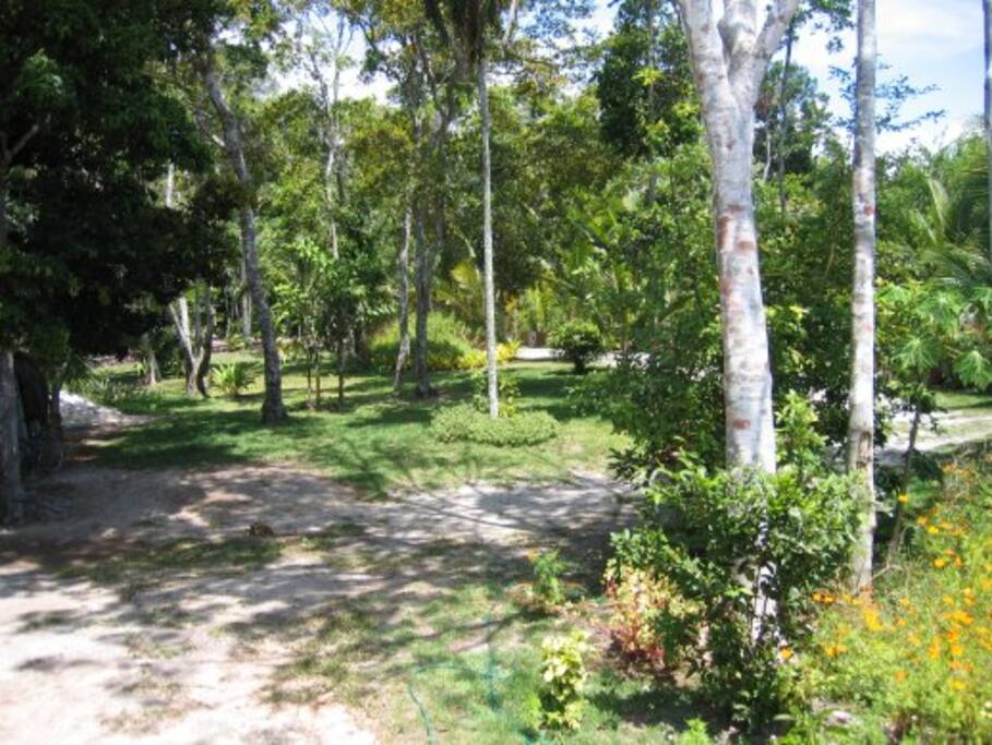 Quintal