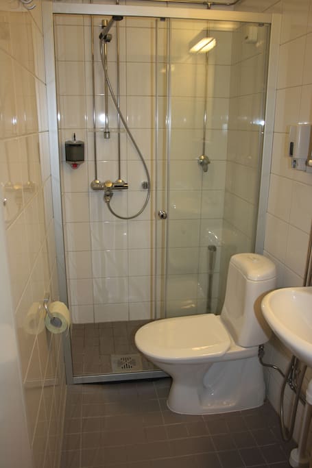 Toilet and shower