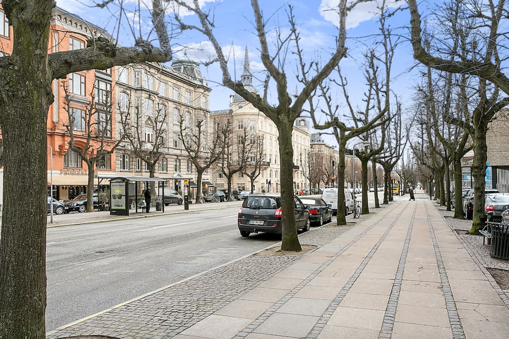 Frederiksberg Allé. One of a kind in Cph
