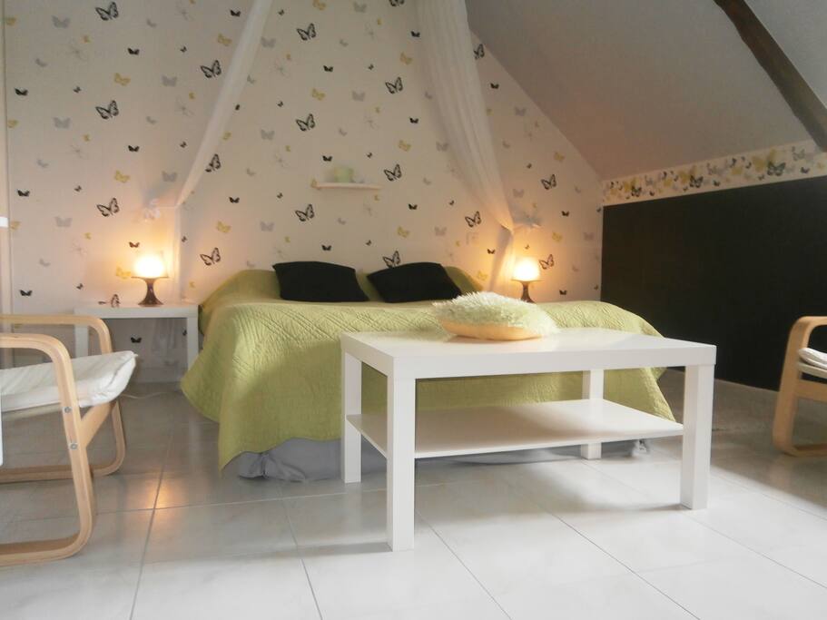 chambre papillons
lit double, coin repas, salon