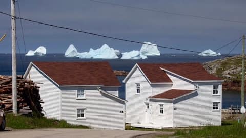 Grandma Lilly's, The Old Salt Box Co, Fogo Island