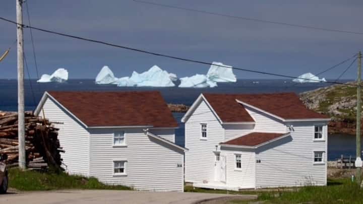 Grandma Lilly's, The Old Salt Box Co, Fogo Island