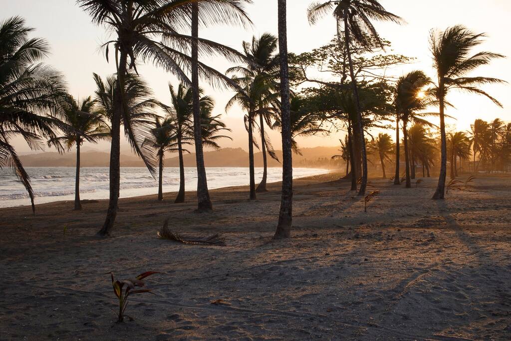 Take a sunset walk along the beach