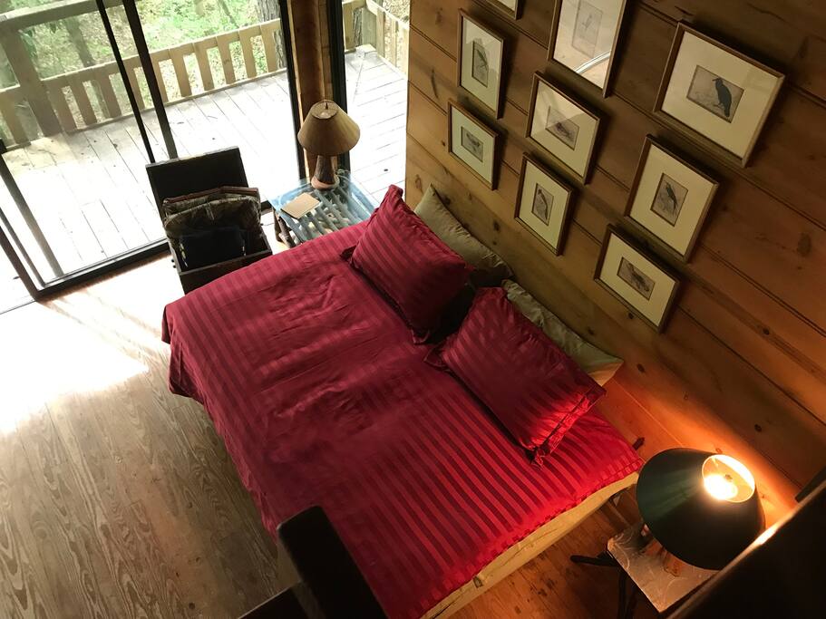 Thunder Ridge—Pet Friendly, Secluded Getaway Cabins for Rent in