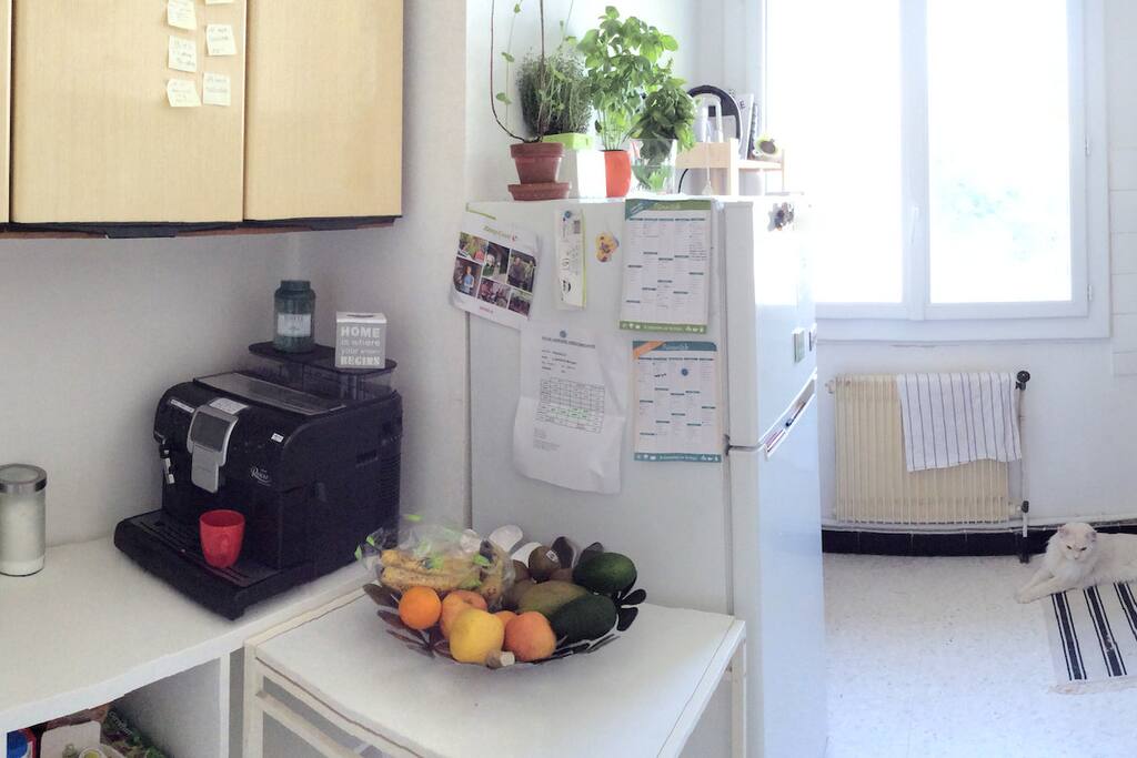 La cuisine équipée / the fitted kitchen