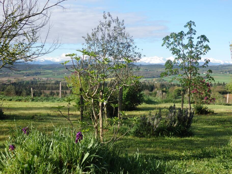 Vue sur les montagnes