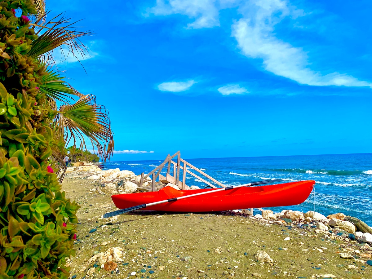A bright red kayak rests on the sandy beach, positioned near a wooden deck leading to the water. The scene is framed by lush green foliage on one side and picturesque waves gently lapping at the shore under a clear blue sky.