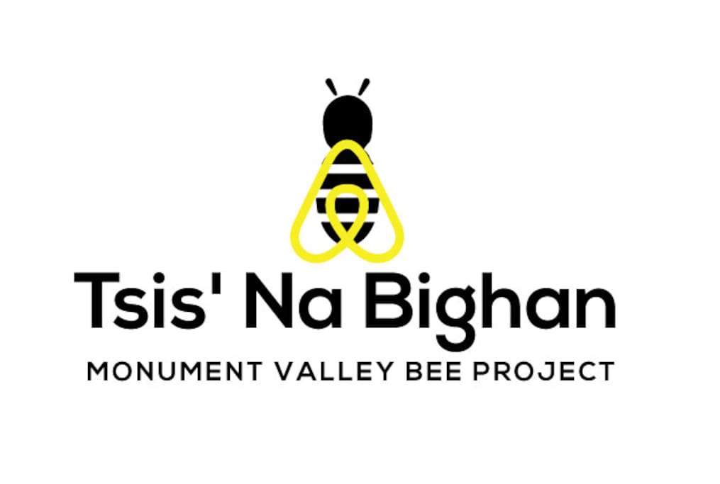 Air Bee & Bee - that benefits the local community through bee hives for traditional farmers.