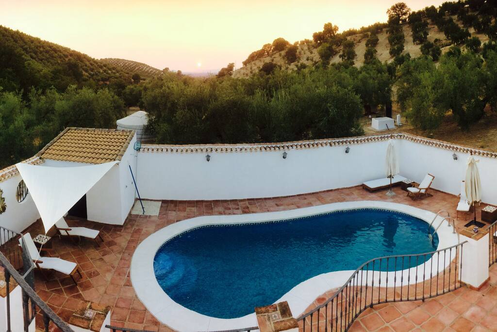 Our chlorine free pool amongst the olive grove.