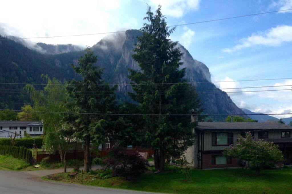 Summer view from your couch.