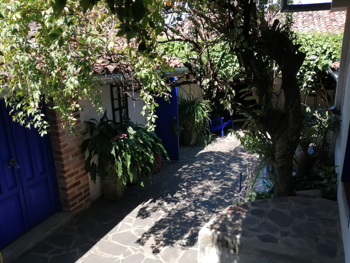 A stone pathway bordered by lush greenery leads through a serene courtyard. Colorful blue doors can be seen on nearby buildings, while dappled sunlight filters through the overhanging branches, casting gentle shadows across the ground.
