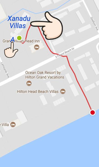 Location: where Xanadu Villas are situated. You are .3 miles walking distance to the beach; and .6 miles to Coligny Plaza (restaurants, shops, bars...) and beach.