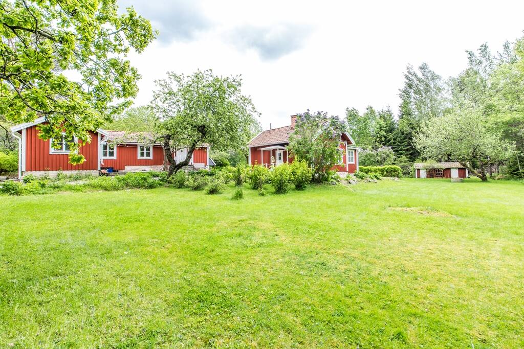 Big peaceful garden