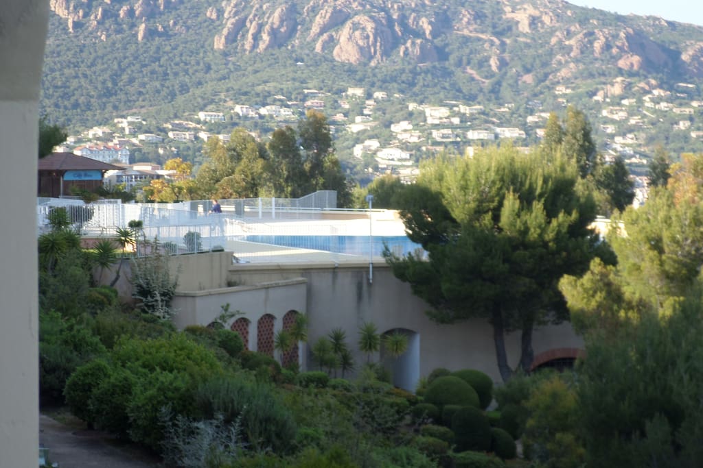 vue piscine de la terrasse
