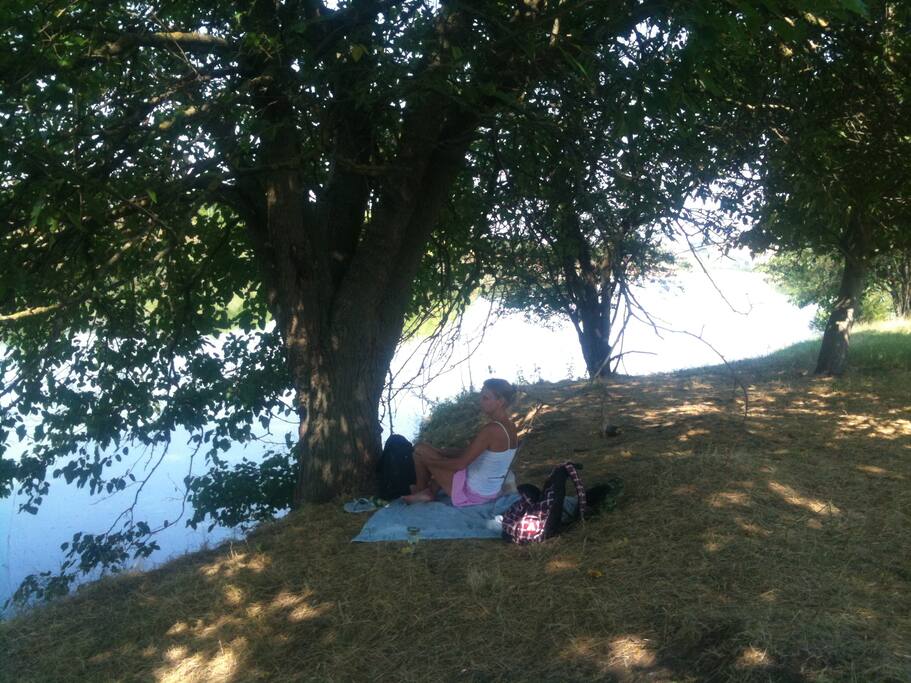 picnics by the lake