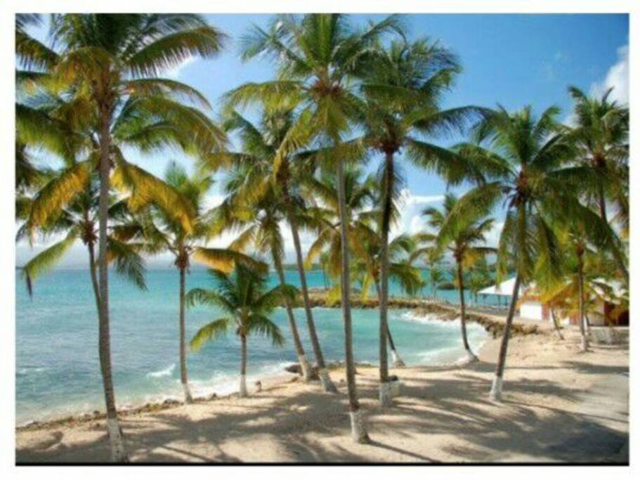 Plage