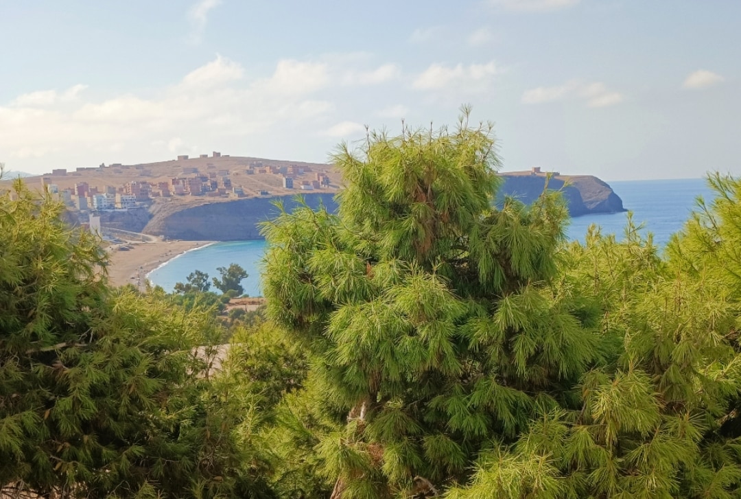 Lush green trees frame a coastal view, with clear blue waters stretching towards a distant sandy beach. Rolling hills are visible in the background, adorned with lightly developed structures. Gentle clouds drift across a bright sky, creating a serene atmosphere.