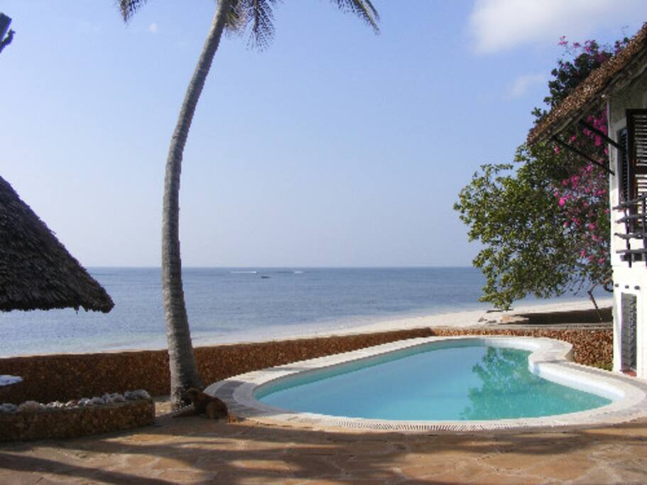 A very nice pool right on the beach