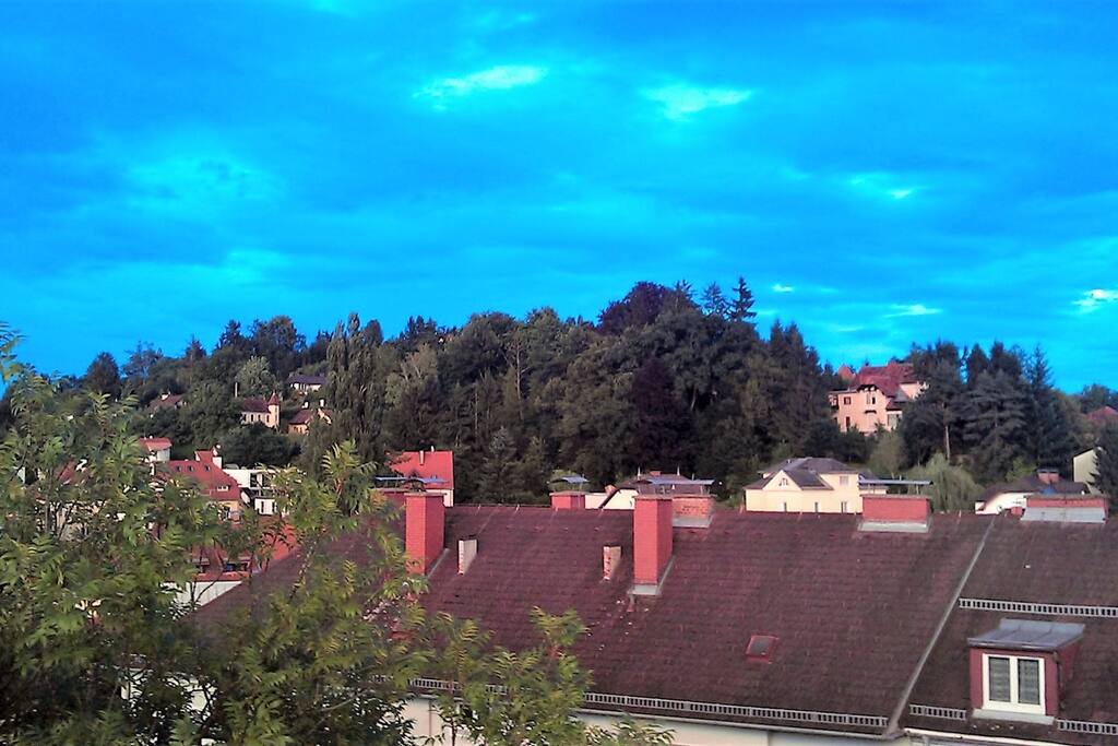 Ausblick Ost