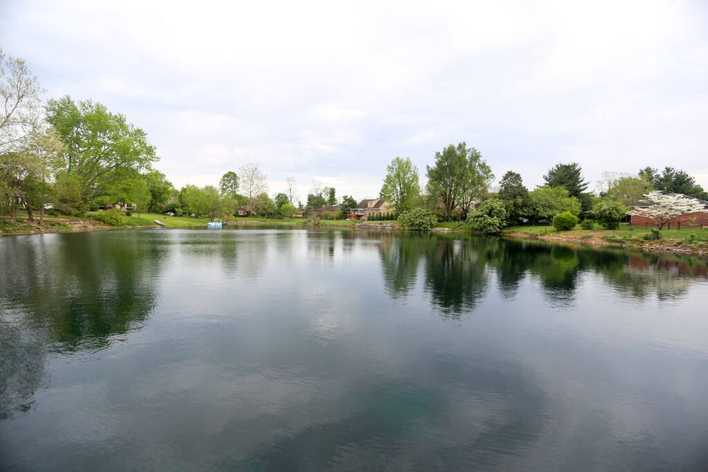 Enjoy the private lake in the backyard.