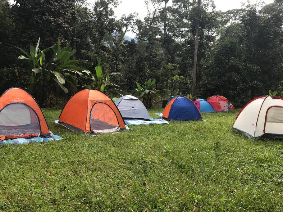 Taiping Bamboo Resort 2 Rooms Family Suite 2 Bedrooms 2 Bathrooms Nature Lodge In Taiping Malaysia